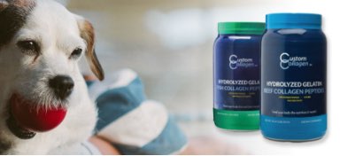 Why Collagen Supplements for Dogs are Great Even for Puppies