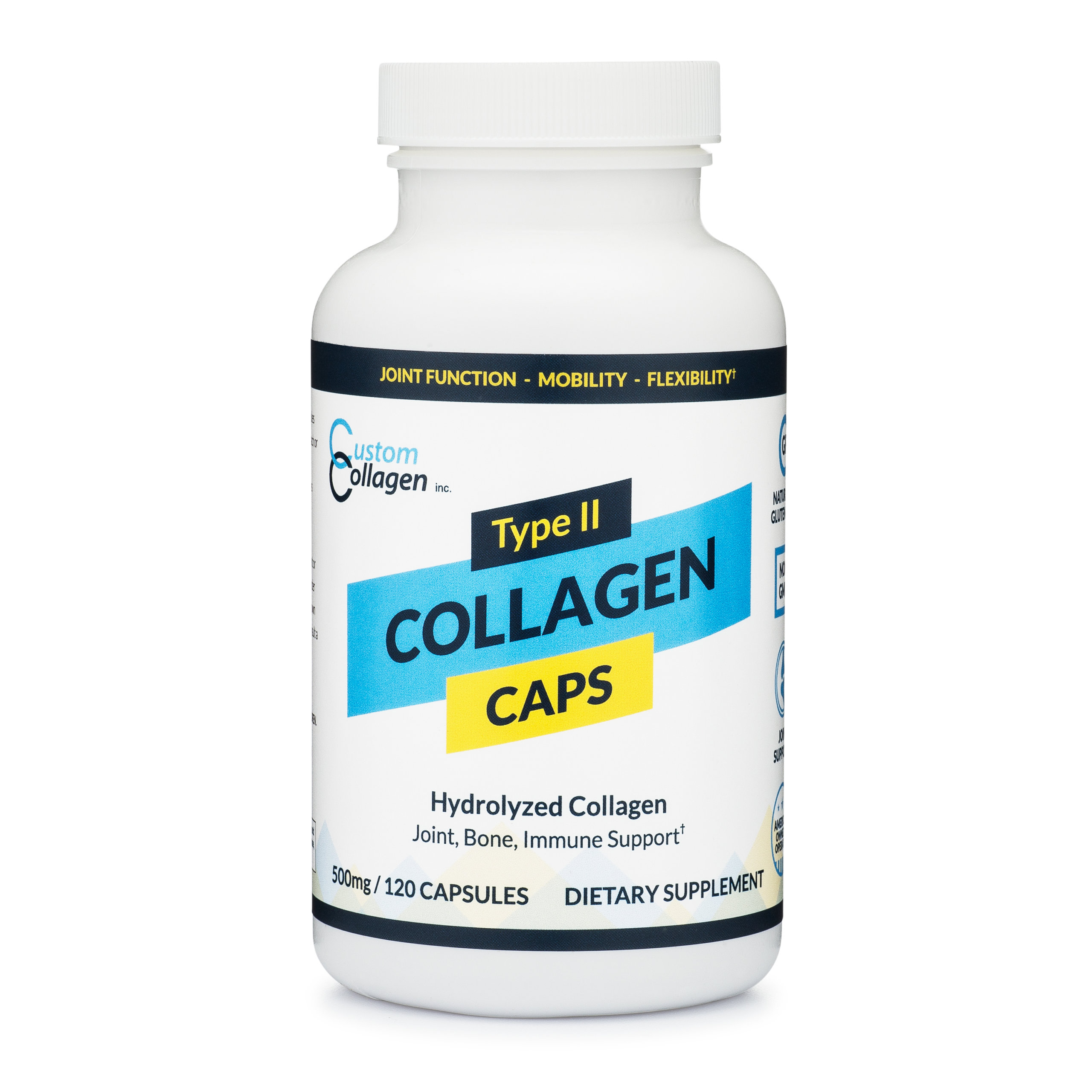 2 type collagen